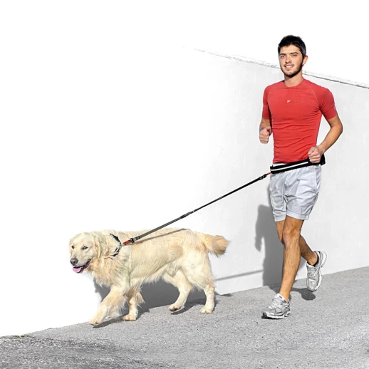 Пояс Ferplast ERGOCOMFORT FREE TIME с поводком и сумочкой для аксессуаров