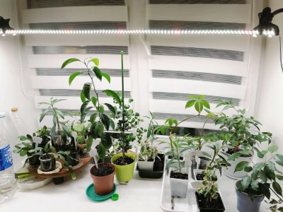 Комплект "Досветка растений на подоконнике 80 см"