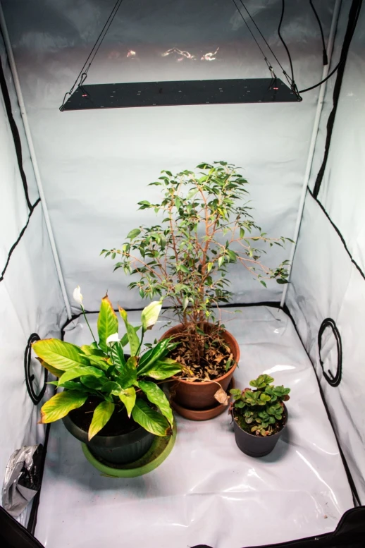 Модуль 1.8 Ultra Quantum board Samsung lm301b 3500K + Osram Oslon 3.24 660nm + UV LG380