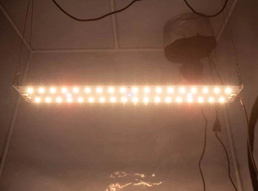 Модуль 1.8 Ultra Quantum board Samsung lm301b 3500K + Osram Oslon 3.24 660nm + UV LG380