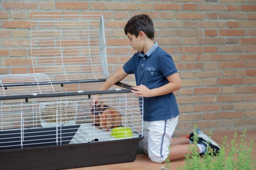 Клетка Ferplast CASITA 120 для кроликов и морских свинок