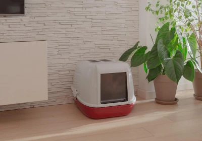 Лоток Ferplast MAGIX угольный для кошек с крышей с двойным дном