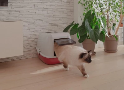 Лоток Ferplast MAGIX угольный для кошек с крышей с двойным дном