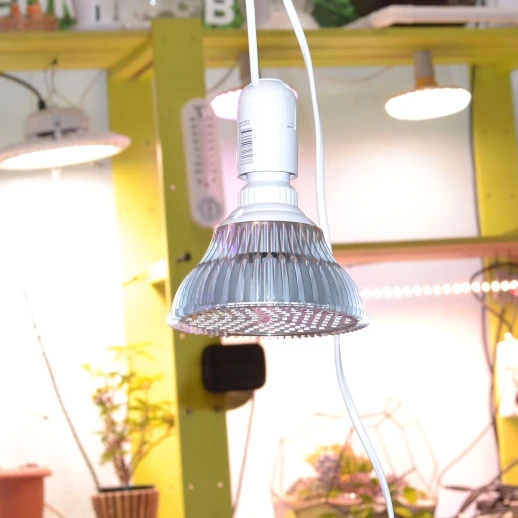 Комплект "Досветка домашних растений 50 Вт (2х25)"