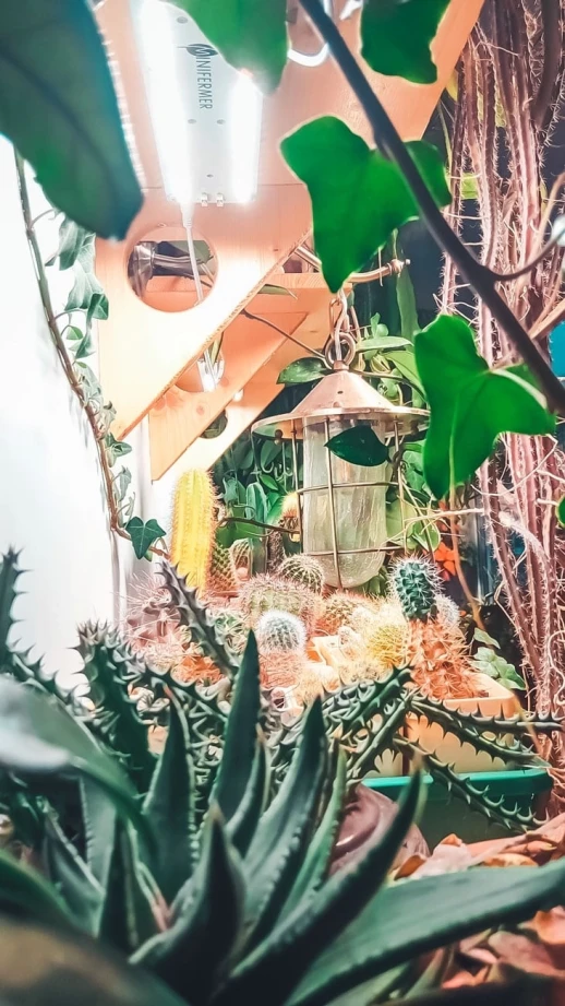 Модуль Фулл Комфорт 2.3. f_W - Универсальный. Белый свет.С защитой от влаги