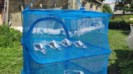 Сушилка универсальная для рыбы, грибов и ягод 40*40*55