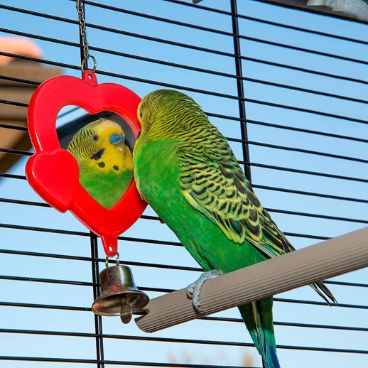 Клетка Ferplast PIANO 6 для птиц черная