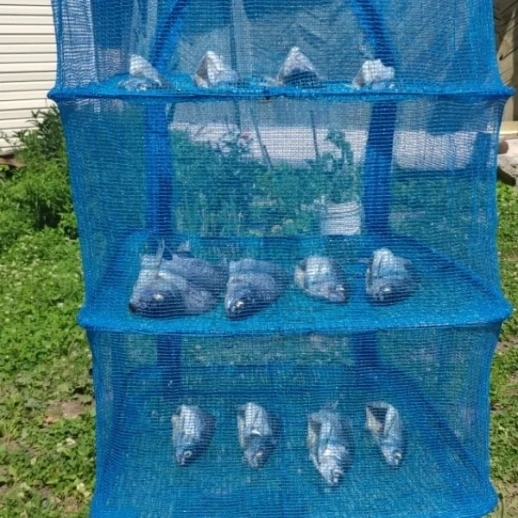 Сушилка универсальная для рыбы, грибов и ягод 50*50*100