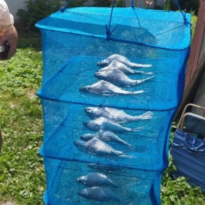 Сушилка универсальная для рыбы, грибов и ягод 50*50*100