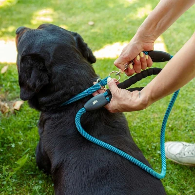 Поводок Ferplast SPORT EXTREME G8/120 черный с голубым