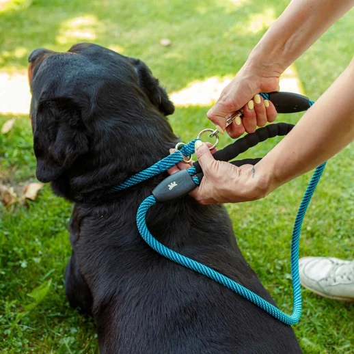 Поводок Ferplast SPORT EXTREME G8/120 черный с голубым