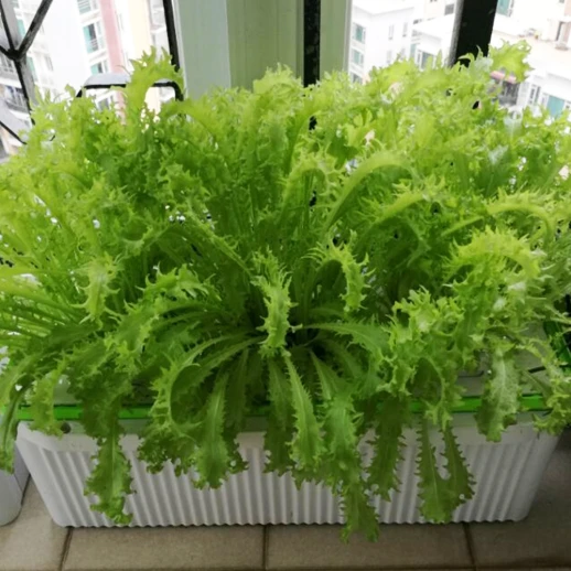 Гидропонная установка HobbyFarm 8 ячеек