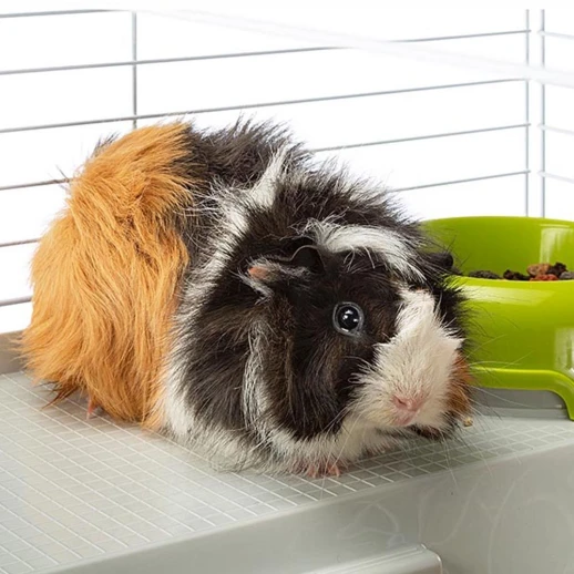 Клетка Ferplast CASITA 80 GABBIA для кроликов и морских свинок 1 шт. в уп.