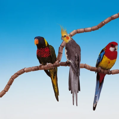 Набор для моделирования жердочек Ferplast FLEX 4192 О16 мм