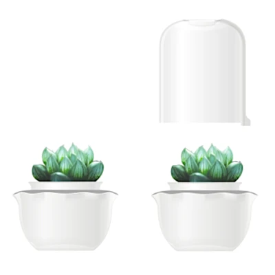 Гидропонная установка HobbyFarm для суккулентов и мхов