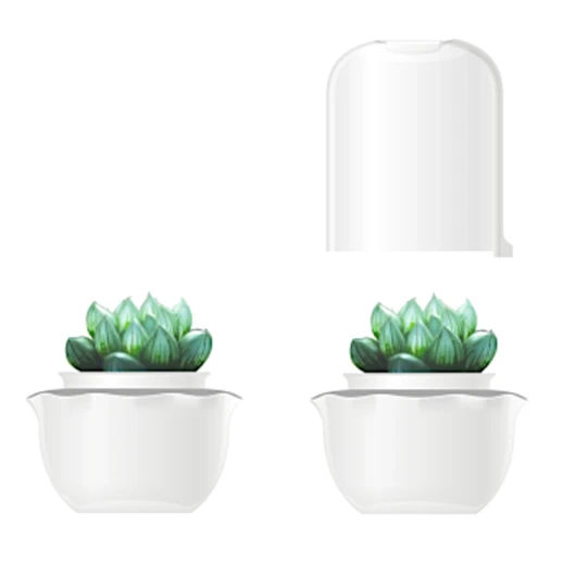 Гидропонная установка HobbyFarm для суккулентов и мхов