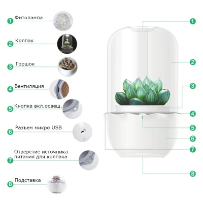 Гидропонная установка HobbyFarm для суккулентов и мхов