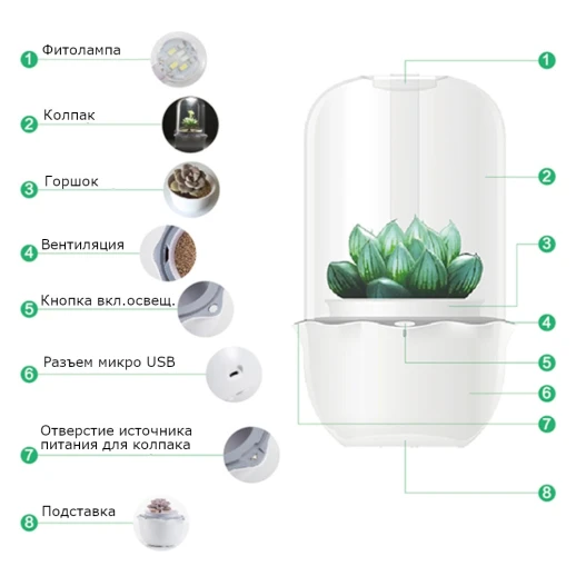 Гидропонная установка HobbyFarm для суккулентов и мхов