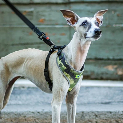 Шлейка Ferplast NIKITA FASHION M из дышащего нейлона зеленая