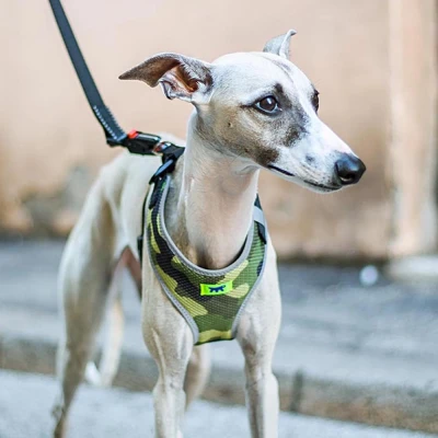 Шлейка Ferplast NIKITA FASHION M из дышащего нейлона зеленая