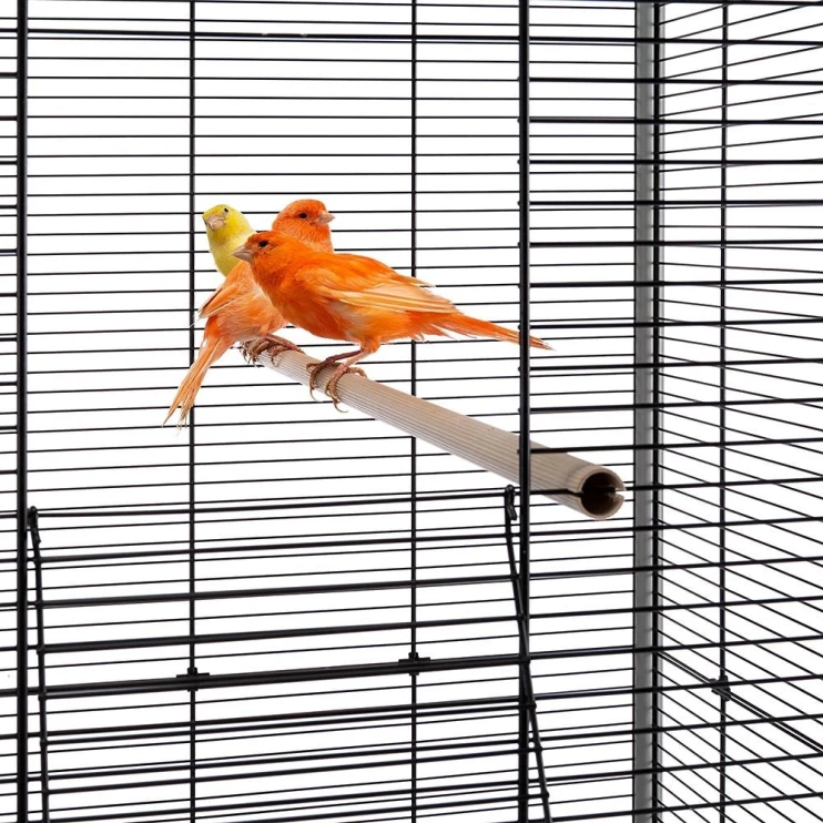 Клетка Ferplast PLANETA NERA GABBIA для мелких птиц с подставкой