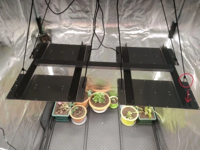 Комплект "Досветка большого растения или стола"