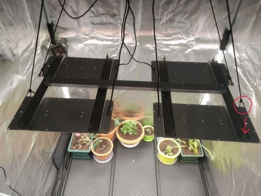 Комплект "Досветка большого растения или стола"