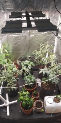 Комплект "Досветка большого растения или стола"