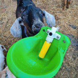 Поилка для коз и овец чашечная пластиковая с клапаном