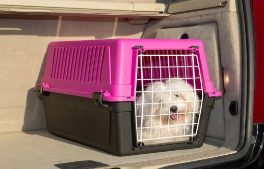 Переноска Ferplast ATLAS 10 EL без аксессуаров для кошек и мелких собак фуксия