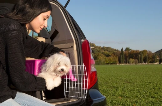 Переноска Ferplast ATLAS 10 EL без аксессуаров для кошек и мелких собак фуксия