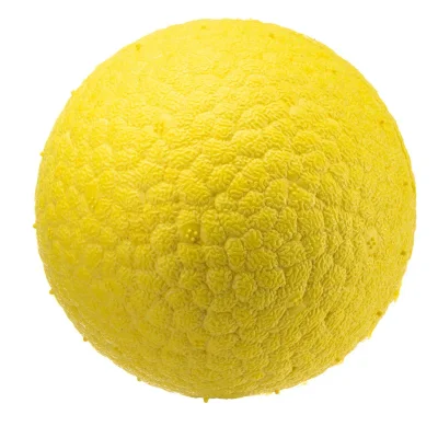 Игрушка - мяч Ferplast CHEWA BALL M плавающий желтый
