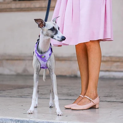 Шлейка Ferplast NIKITA FASHION M из дышащего нейлона фиолетовая