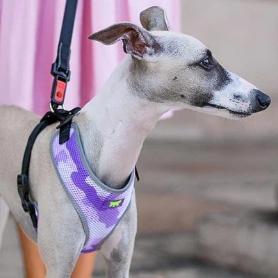 Шлейка Ferplast NIKITA FASHION M из дышащего нейлона фиолетовая