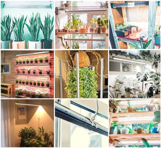 Фитолампа для растений MiniFermer 50 Ватт. Длина 140 см