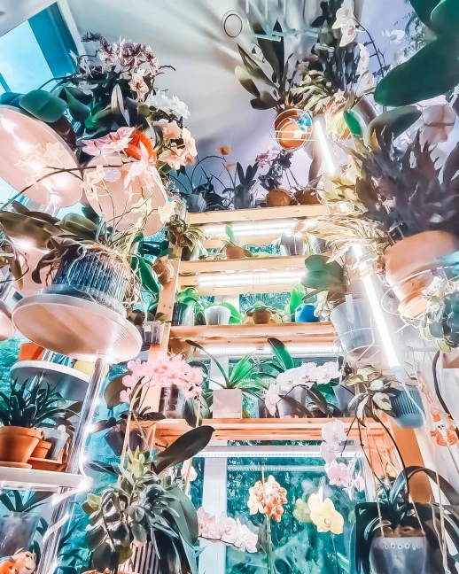 Фитолампа для растений MiniFermer 50 Ватт. Длина 140 см