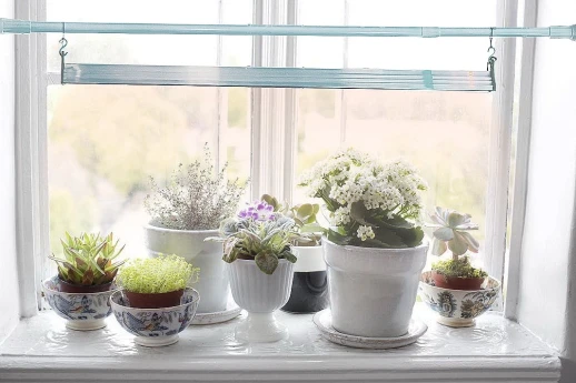 Фитолампа для растений MiniFermer 50 Ватт. Длина 140 см