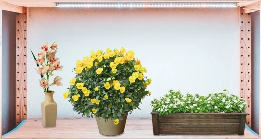 Модуль Биколор Комфорт 2.2.g_W - Рассада, Микрозелень. Белый свет.С защитой от влаги