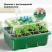 Мини парник HobbyFarm, 12 ячеек, для рассады, 10 шт.