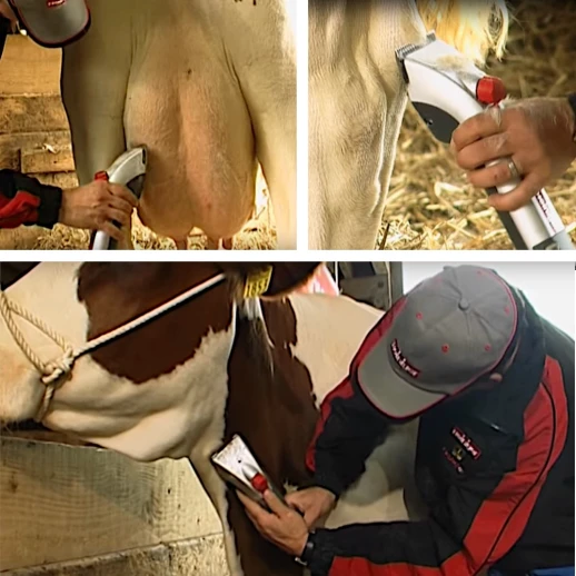 Машинка Heiniger Delta 3 для стрижки лошадей и КРС лезвия 31/15