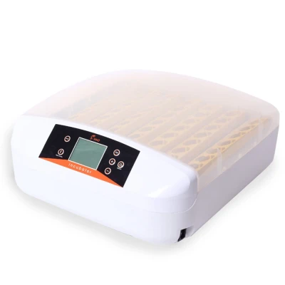 Инкубатор HHD 56S