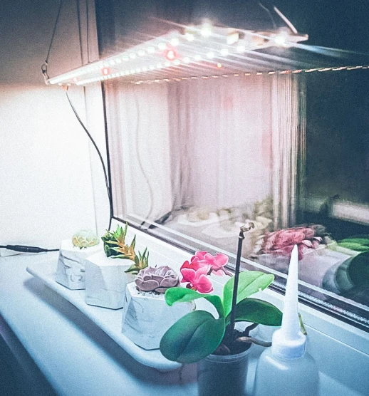 Модуль Sunlike 4000- Универсальный. Экзотические растения. Белый свет.