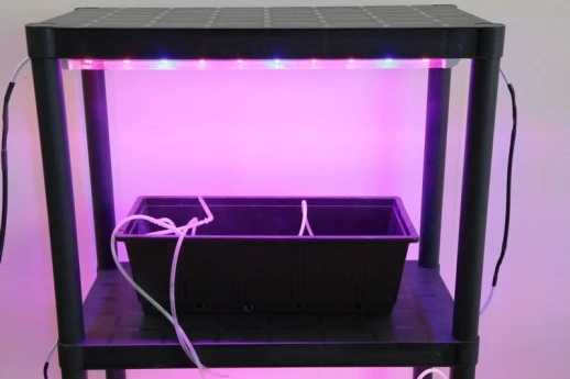 Стеллаж универсальный 141х60х30 для рассады или цветов пластик