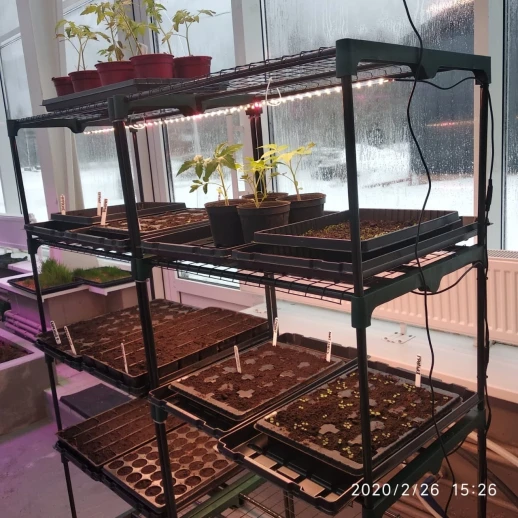 Стеллаж универсальный 141х60х30 для рассады или цветов пластик