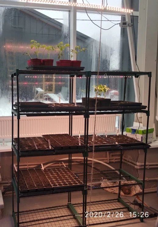 Стеллаж универсальный 141х60х30 для рассады или цветов пластик