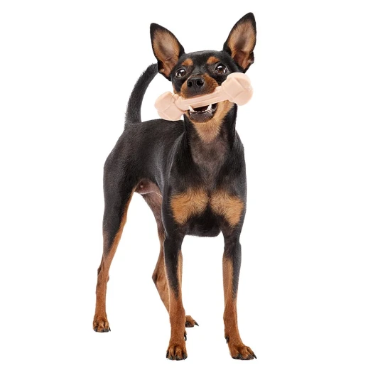 Игрушка-кость для собак Ferplast GoodBite M съедобная вкус ветчины 70 гр. x2 шт.