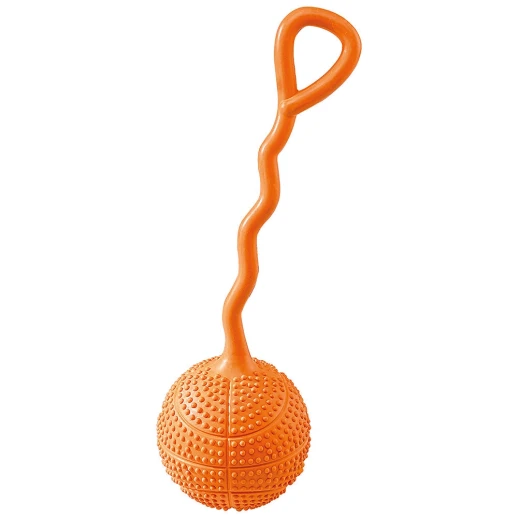 Мячик Ferplast PA 6090 c длинной ручкой