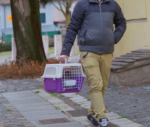 Переноска Ferplast ATLAS 10 OPEN с ковриком и поилкой для кошек и собак