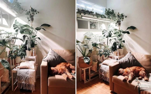 Фитолампа для растений MiniFermer 25 Ватт. Длина 60 см.