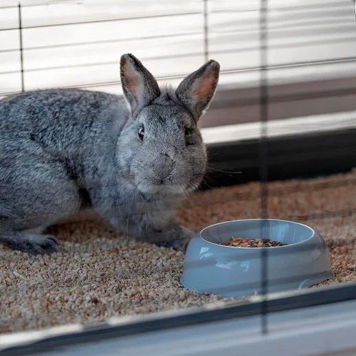 Клетка Ferplast COTTAGE LARGE для содержания кроликов на улице деревянная.